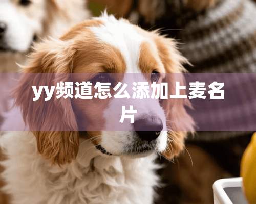 yy频道怎么添加上麦名片