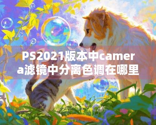 PS2021版本中camera滤镜中分离色调在哪里？