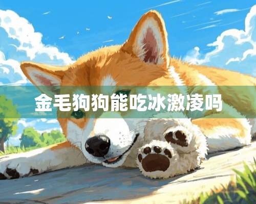 金毛狗狗能吃冰激凌吗