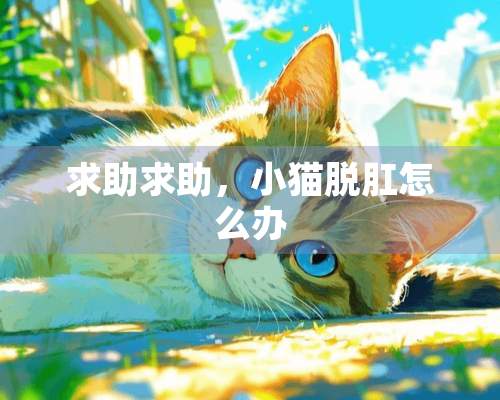 求助求助，小猫脱*怎么办