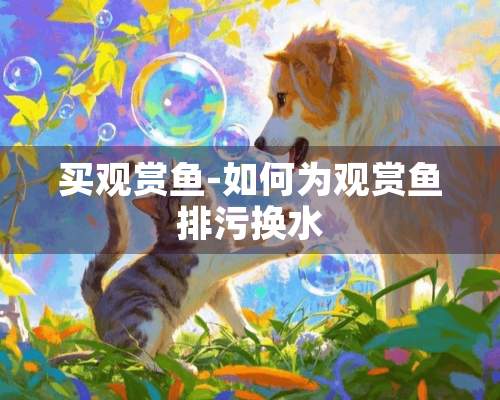 买观赏鱼-如何为观赏鱼排污换水