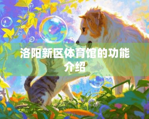 洛阳新区体育馆的功能介绍