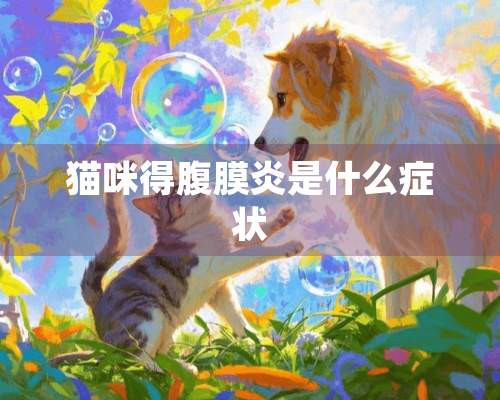 猫咪得腹膜炎是什么症状