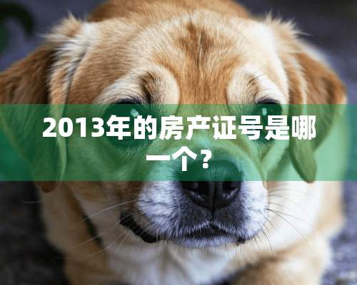 2013年的房产证号是哪一个？