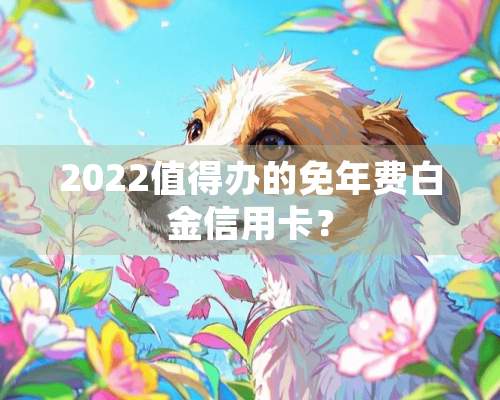 2022值得办的免年费白金***？