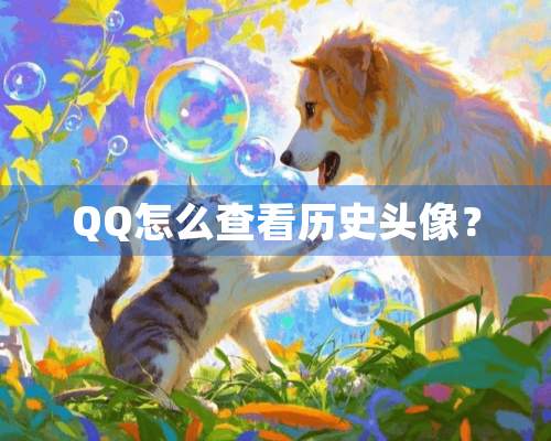 QQ怎么查看历史头像？