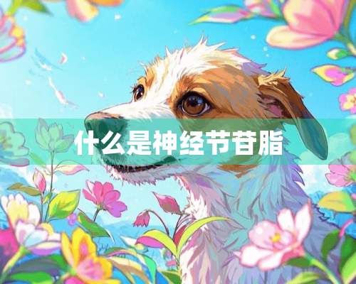 什么是神经节苷脂