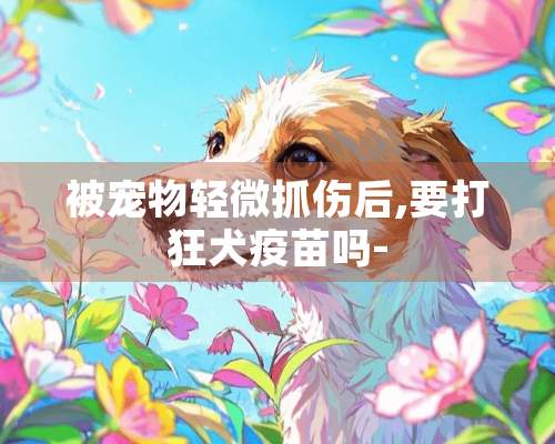 被宠物轻微抓伤后,要打狂犬疫苗吗-