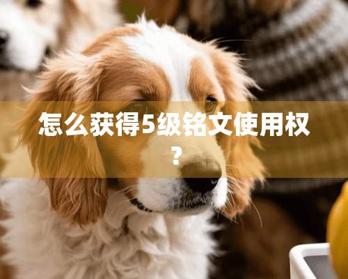 怎么获得5级铭文使用权？