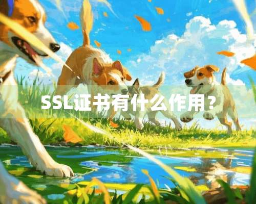 SSL证书有什么作用？