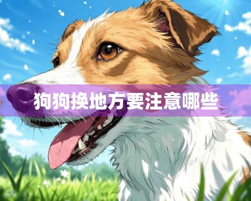 狗狗换地方要注意哪些