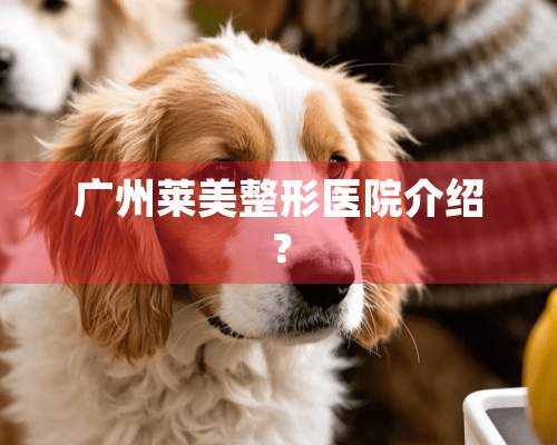 广州莱美整形医院介绍？