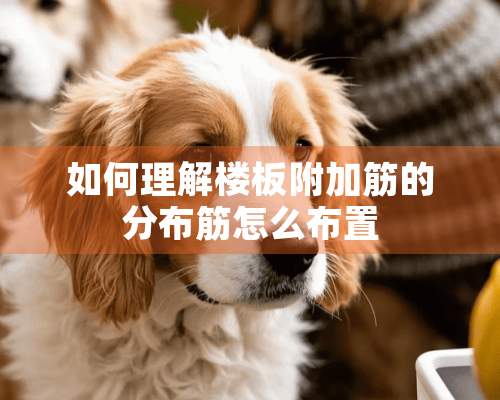 如何理解楼板附加筋的分布筋怎么布置