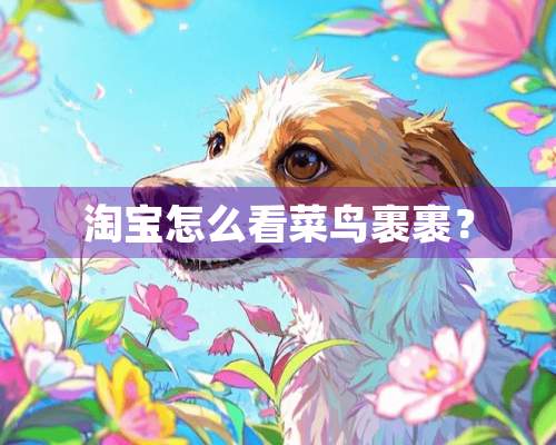 淘宝怎么看菜鸟裹裹？