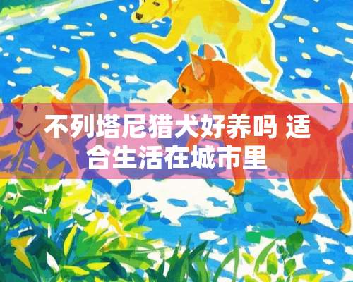 不列塔尼猎犬好养吗 适合生活在城市里