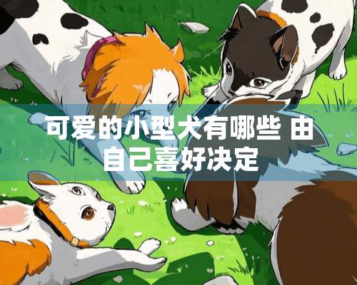 可爱的小型犬有哪些 由自己喜好决定