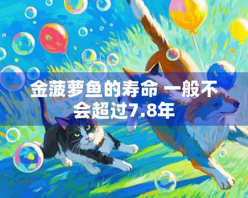 金菠萝鱼的寿命 一般不会超过7.8年