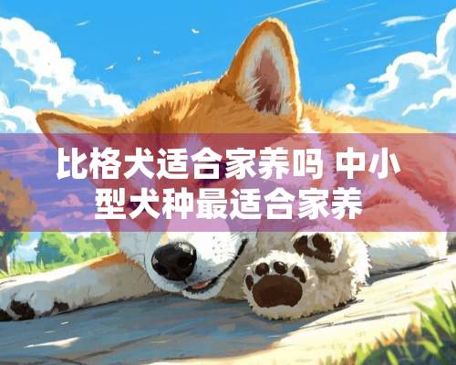 比格犬适合家养吗 中小型犬种最适合家养