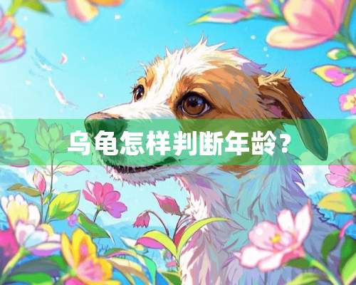 乌龟怎样判断年龄？