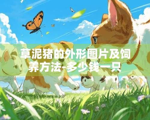 草泥猪的外形图片及饲养方法-多少钱一只