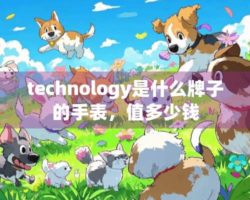 technology是什么牌子的手表，值多少钱