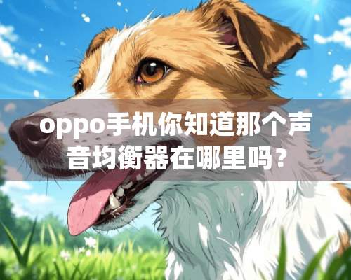 oppo手机你知道那个声音均衡器在哪里吗？