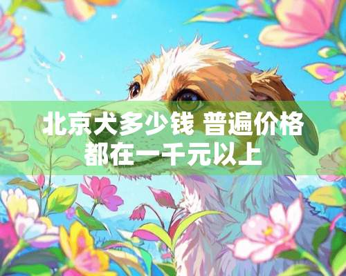 北京犬多少钱 普遍价格都在一千元以上