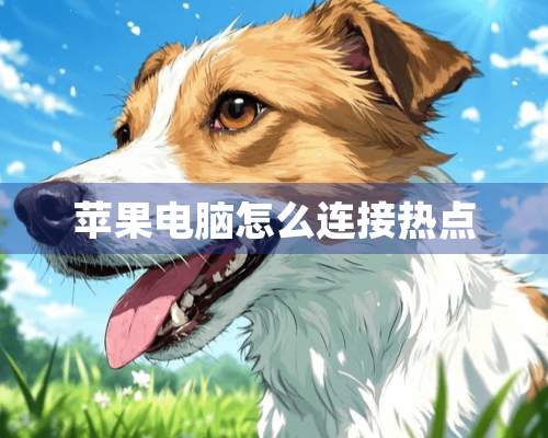 苹果电脑怎么连接热点