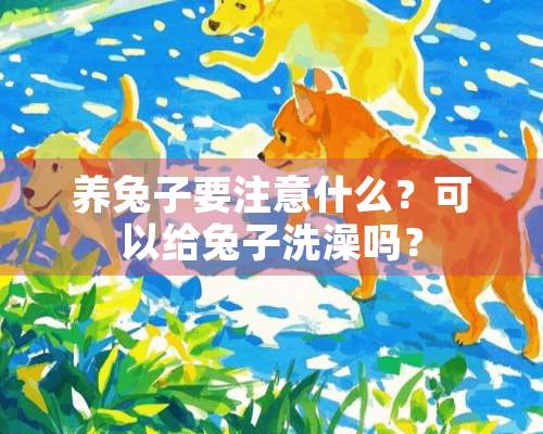 养兔子要注意什么？可以给兔子洗澡吗？