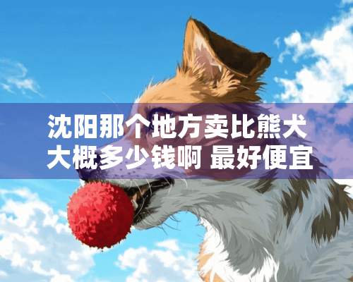 沈阳那个地方**熊犬 大概多少钱啊 最好便宜点