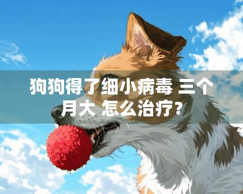 狗狗得了细小** 三个月大 怎么治疗？