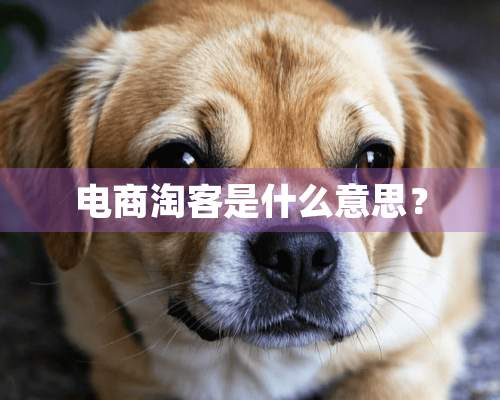 电商淘客是什么意思？