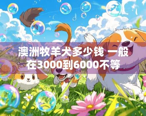 澳洲牧羊犬多少钱 一般在3000到6000不等