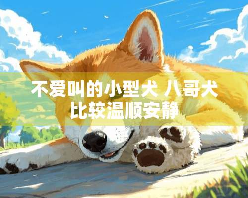 不爱叫的小型犬 八哥犬比较温顺安静