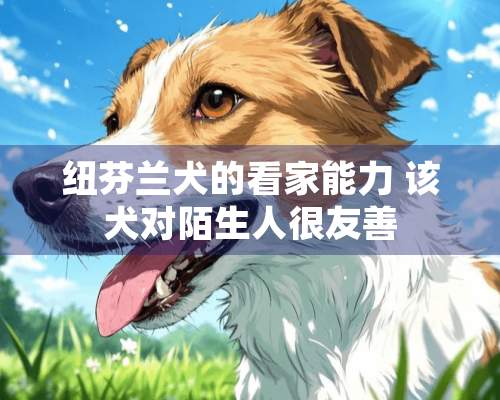 纽芬兰犬的看家能力 该犬对陌生人很友善