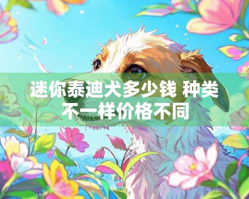 迷你泰迪犬多少钱 种类不一样价格不同