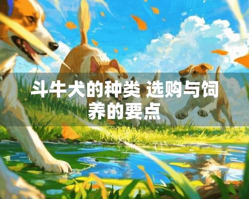 斗牛犬的种类 选购与饲养的要点