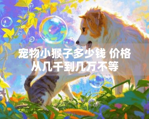 宠物小猴子多少钱 价格从几千到几万不等