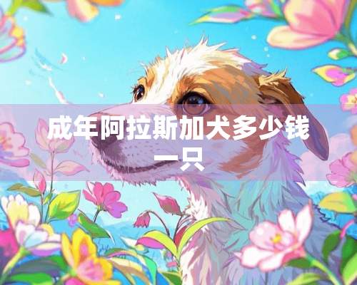 成年阿拉斯加犬多少钱一只