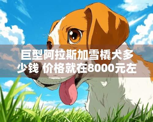 巨型阿拉斯加雪橇犬多少钱 价格就在8000元左右