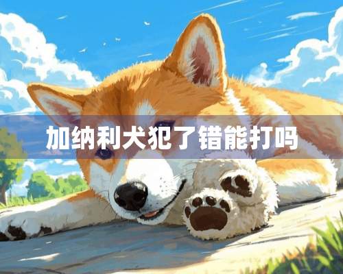 加纳利犬犯了错能打吗