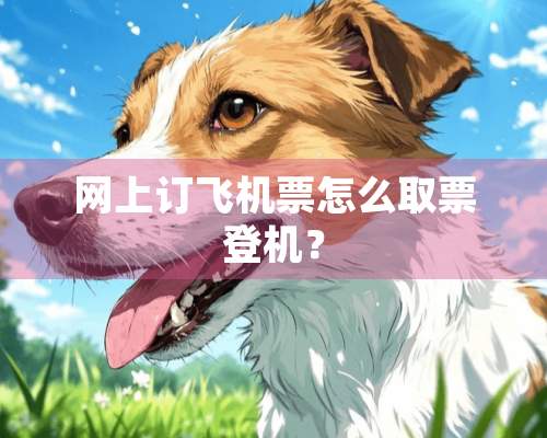 网上订***怎么取票登机？