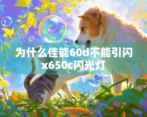 为什么佳能60d不能引闪x650c闪光灯