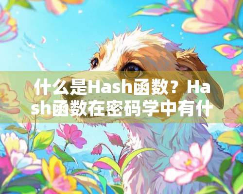 什么是Hash函数？Hash函数在密码学中有什么作用？