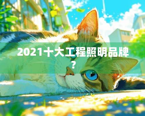 2021十大工程照明品牌？