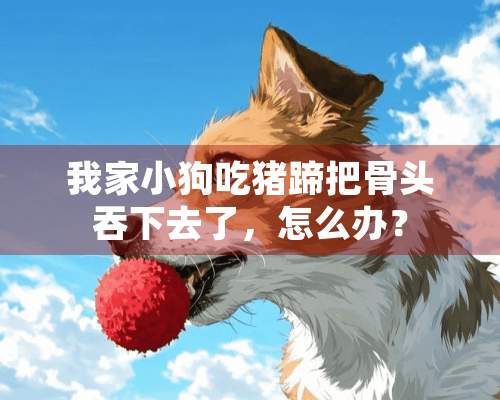 我家小狗吃猪蹄把骨头吞下去了，怎么办？