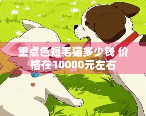 重**短毛猫多少钱 价格在10000元左右