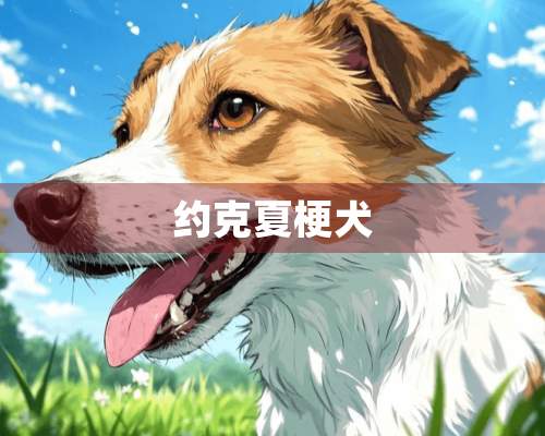 约克夏梗犬