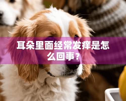 耳朵里面经常发痒是怎么回事？