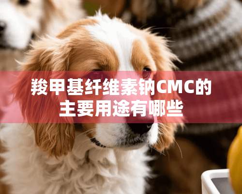 羧甲基纤维素钠CMC的主要用途有哪些